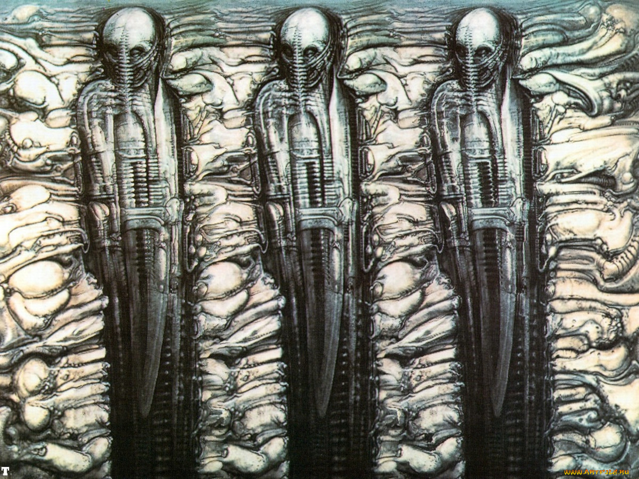 , giger